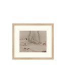 Traces of the Field I