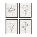 Botanical Wall Art Prints Set of 4