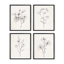 Botanical Wall Art Prints Set of 4