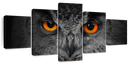 Mesmerizing Gray Owl Wall Art