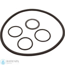 Aladdin RO-KIT 277 [Leisure Bay Cyclone 75-125-200 Cartridge Filter] (RO-KIT277)