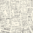 Vintage Map of San Antonio, TX Business Section 1929