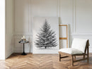 A Blanket Of White Snow-Covered Pine