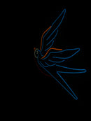 Sparrow Neon Metal Sign