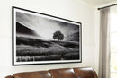 Deborland - Wall Art - Black / White