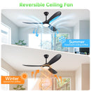 Smart Ceiling Fan With Lights, 3 Blades, Reversible Quiet DC Motor For Indoor by Unique Piece Furniture