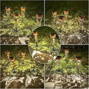 DIBIEECN 2 Pack Hummingbird Solar Pathway Lights Outdoor,Metal Garden Decorations Outdoor Lights with Patterns and Warm Light,Waterproof Landscape Lighting for Path Patio Backyard Walkway Yard by GreenHaven Gardens