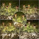 DIBIEECN 4 Pack Hummingbird Solar Pathway Lights Outdoor,Metal Garden Decorations Outdoor Lights with Patterns and Warm Light,Waterproof Landscape Lighting for Path Patio Backyard Walkway Yard by GreenHaven Gardens