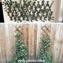 Wooden Lattice Wall-Expandable Plant Garden Trellis for Climbing Plants Outdoor Air Plant Vertical Rack Wall Decor for Room Patio by GreenHaven Gardens