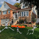 5.4Ft Halloween Skeleton - Life Size Full Body Realistic Human Bones with Posable Joints for Halloween Pose Skeleton Prop Decoration by GreenHaven Gardens