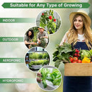 Organo Republic 25 Winter Vegetable & Herb Garden Seeds Variety Pack for Outdoors & Indoor Home Gardening 22,840+ Non-GMO Heirloom Seeds Broccoli Beet Carrot Cabbage Radish Pea Mint Thyme Parsley by GreenHaven Gardens