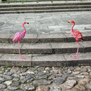 Garden Statues Flamingo Sculptures Metal Yard Art, Pink Bird Art Outdoor Backyard Decor Patio Lawn Porch Ornament Flamingo Yard Decoration (Pink with White) by GreenHaven Gardens