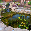 20 x 25 FT Pond Liner, 20 Mil Fish Pond HDPE Liner, Pond Liners for Outdoor Ponds, Koi Ponds, Garden Fountain, Waterfall by GreenHaven Gardens