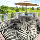 Outdoor Rug Waterproof for Patios Clearance, Reversible Outdoor Plastic Straw Rug Camping Carpet, Outside Floor Mats Large Area Rugs for RV,Patio,Deck,Porch,Beach, Balcony，8'x10',Black&Beige by GreenHaven Gardens