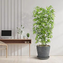 Artificial Bamboo Tree 6FT Tall Fake Plants Faux Silk Plant, Faux Bamboo Plant for Home Office Indoor Outdoor Decor Artificial Trees with Tall Planter by CozyNest Decor