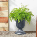 PL00GY Classic Traditional Plastic Urn Planter Indoor/Outdoor, 16" x 18", Gray by GreenHaven Gardens