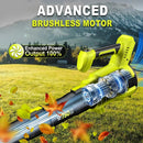 SILVEL Cordless Leaf Blower with 2x6.0Ah Battery and Quick Charger, 750CFM (250MPH) High Power Turbo Leaf Blowers with LCD Screen/Variable Speeds for Lawn Care, Patio, Dust, Blowing Leaves by GreenHaven Gardens