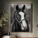 Gentle Spirit