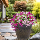 Sunnydaze 24-Inch Anjelica Large Plastic Pot for Plants - Outdoor Polyresin Round Planter with Drillable Drainage Holes - Sable by GreenHaven Gardens