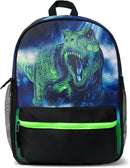 The Children's Place Kids' Preschool Elementary Backpack for Boys and Girls by TinyTreasures Baby Boutique