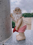 Funny Gnome Statue | Garden Gnomes | Funny Gnomes Garden Decorations for Outside Garden - Garden Gnomes 8" Tall by CozyNest Decor