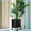 D'vine Dev Planter Pot with Stand - 16 Inch Plastic Cylinder Flower Pot with Wood Planter Holder for Indoor, Matte Black Pot + Ebony Stand, 55-C-Z-2 by GreenHaven Gardens