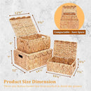 Set of 3 Scalloped Edge Wicker Basket with Lid, Rectangle Wicker Storage Basket with Built-in Handles, Multipurpose Organizer Rattan Display Boxes for Shelf, Nursery Room by CozyNest Decor