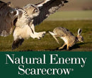 Dalen SOL-R Action Solar Fake Owl Decoy to Scare Birds Away from Gardens, Rooftops, and Patios - Safe and Humane, 18" 360º Rotating Head by GreenHaven Gardens