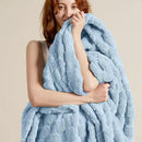 Bedsure GentleSoft Twin Blanket for Bed Light Blue - Super Soft Cozy Blankets for Women Men Girls, Cute Fuzzy Fleece Throws for Bedroom Couch, 60x80 Inches by CozyNest Decor