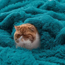 Bedsure GentleSoft Fluffy Turquoise Teal Throw Blanket, Teal Decor Cozy Gifts for Women Men, Soft Fuzzy Sherpa Fleece Plush Thick Warm Faux Fur Throws for Couch, Aqua Blanket Gifts for Mom, 50x60 by CozyNest Decor