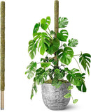 DUSPRO 80 Inches Large Moss Pole for Plants Monstera, Plant Stakes for Indoor Plants, Monstera Plant Support, Plant Support/Plant Pole for Big Climbing Plants Indoor (1pc., 80'') by GreenHaven Gardens