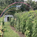Garden Hoops Grow Tunnel, 12 Sets of 7FT Greenhouse Hoops for Raised Beds, Rust-Proof Fiberglass Frame for Garden Netting, Small Greenhouse Kit, DIY Plant Support Garden Stakes, 60 pcs by GreenHaven Gardens