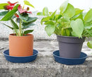 Plant Saucer 14 Inch 2 Pack 6 8 10 12 14 16 18 20 25, Plastic Plant Trays for Pots，Extra-Deep Plant Water Dray Tray, Bird Bath Bowl, Heavy Flower Plant Saucers Indoors and Outdoor No Holes by GreenHaven Gardens
