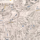 Vintage Map of the Capitulation of Ulm, 1805