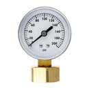 3/4-in. FHT Water Pressure Gauge 200 PSI 91130