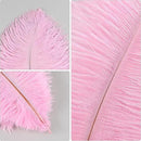 THARAHT Pink Ostrich Feathers 24pcs Natural Bulk 10-12Inch 25cm-30cm for Crafts Wedding Party Centerpieces Easter Gatsbi and Home Decoration Feathers by CozyNest Decor