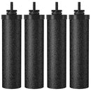 SKYSEN Water Filter Replacement for Berkey® BB9-2, Compatible with Berkey® Gravity Water Filter System.(wfr-4) by CozyNest Decor