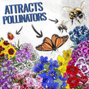 Seed Needs Low Growing Wildflower Flower Seeds for Planting | 10 Packs (1 Ounce Each) Mixture/Blend 17 Varieties | Resealable Package Multicolored Blooms Open Pollinated Mixed Species | Bulk by GreenHaven Gardens