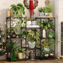 Metal Plant Stand Indoor Outdoor Plant Shelf Stand, 3 Tiers 8 Pots Potted Flower Plant Stands for Indoor Plants Multiple, Plant Shelves Stands Rack for Patio, Balcony, Living Room by GreenHaven Gardens