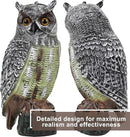Galashield Owl Decoy | Plastic Owls to Scare Birds Away | Owl Statue for Garden & Outdoors 16.5" Tall by GreenHaven Gardens