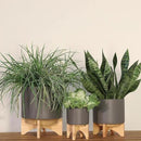 Sagebook Home 8" Ceramic Planter, Matte Gray Planter, Indoor/Outdoor Planter on Wooden Stand - Use for Succulent Pot, Plants, Flowers and More by GreenHaven Gardens