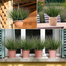 48PCS 17.3" Fake Plants Artificial Wheat Grass Greenery Plastic Plants Fake Grass Artificial Plants for Outdoor Decor Artificial Grass Plant with Greenery Stems for Indoor Home Decoration by CozyNest Decor