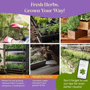 25 Culinary Classic Herb Seeds Variety Pack - 13,055+ Non-GMO Heirloom Herbs Seeds for Planting Indoor & Outdoor: Lavender, Rosemary, Dill, Mint, Catnip, Basil - Gardening Seeds Packets by GreenHaven Gardens