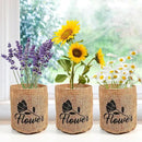 5 Kit - Growing into Shasta Daisy, Cornflower, Sunflower, Zinnia, Lavender for Indoor Outdoor Garden DIY Gifts by GreenHaven Gardens