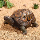 Tortoise Turtle Statue,Resin Garden Sculpture Indoor/Outdoor Yard Lawn Ornament,Home Decor (Large) by GreenHaven Gardens