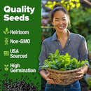 HOME GROWN Premium Common Mint Seeds (Bulk Pack) 3,600 𝗡𝗢𝗡-𝗚𝗠𝗢 𝗨𝗦𝗔 Heirloom Herb Seeds, USA Sourced | Ideal for Planting Outdoors or Indoors for a Fresh Mint Tea Garden (Mentha spp) by GreenHaven Gardens