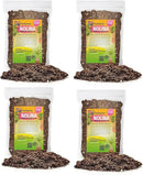 Nolina Potting Mix - Unlock Robust Growth and Striking Structure with Our High-Performance Formula - 20 Quart by GreenHaven Gardens