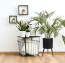 D'vine Dev 14 Inch Planter Pot with Stand, Mid-Century Tall Plant Pot with Legs for Indoor Plants, X-Large, Black, 88-O-D-2 by GreenHaven Gardens