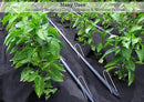 Sandbaggy Galvanized 6-Inch Landscape Staples | Industrial Grade 9 Gauge Steel | Also Called Fabric Pins, Garden Earth Stakes, Lawn Nails | Trusted by Farmers & Homeowners Across The USA (100 Staples) by CozyNest Decor