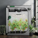 VIVOSUN G425 48"x24"x60" Grow Tent, 4x2 FT Advanced Gray Grow Tent with 19mm Poles, Observation Window and Floor Tray for Hydroponic Plants for VS2000 by GreenHaven Gardens